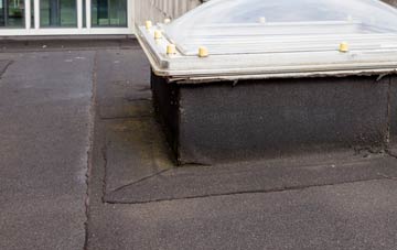 disadvantages of Saltby flat roofs